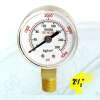 Oxygen Gauge