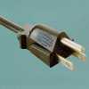 Power Cord
