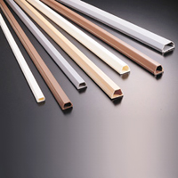 Telephone Wiring Ducts - Self-Adhesive