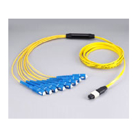 MPO Fan-Out Patchcord
