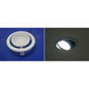 LED Down Light