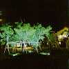 Lighting Fixtures