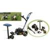 Motorised Golf Cart