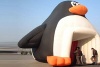 Inflatable bouncer