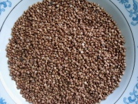 Roasted buckwheat kernel