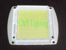High Power LED Chip 200W