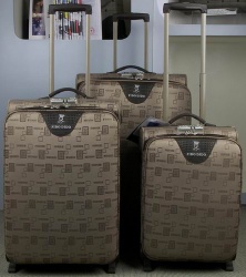trolley case
