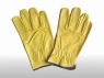 driver glove