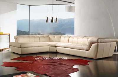 Leather sofa