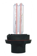 hid light