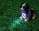 solar light,solar lamp