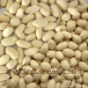 blanched peanuts kernels
