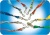 lanyards