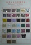 mesh sheet