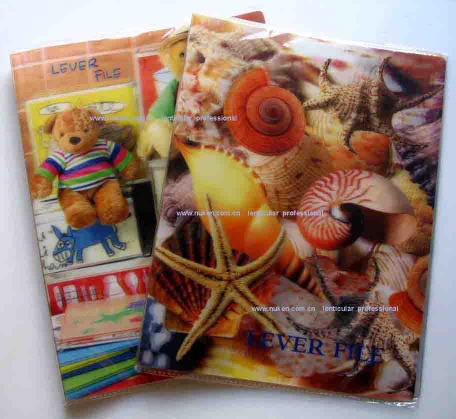 3D lenticular Stereotropic and flipping file lever