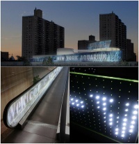 PolyDigit™ LED Film&Glass