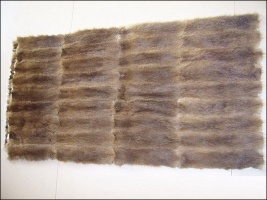 raccoon skin