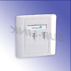 faceplate