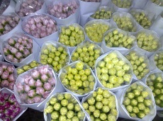 fresh cut flowers-carnation