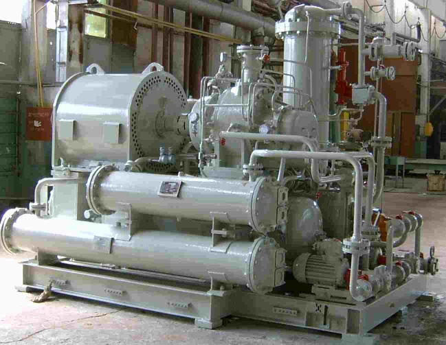 Screw gas compressor