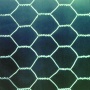 hexagonal wire mesh
