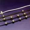 Belt Light