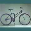Folding Bike