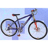 Slalom Alloy Bike