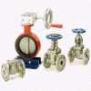 Gate, Globe, Check, Butterfly Valves