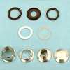 Gasket, Butt weld Ferrule
