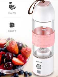 Portable juicer - LV-300