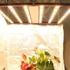 AGLEX 700W LED Grow Light Bar for Indoor Plants - AGL-700W-L01