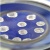 Large Size HTHP Rough Synthetic Diamond Manufacturing