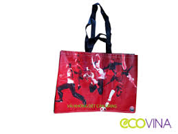 non woven laminated bag