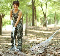 adjustable metal leaf rake
