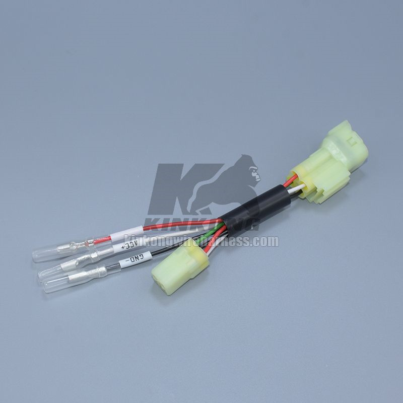 Custom Honda  Wiring Harness