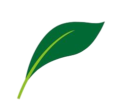 Hangzhou Chengyan Biotechnology Co., Ltd