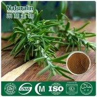 Rosemary Extract - NAT-185