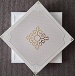 Diversified Artistic Aluminum Ceiling - DG3030AC130
