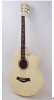 Acoustic guitar