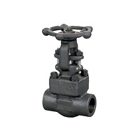 Globe valve