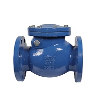 Check valve