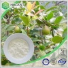 high purity tea saponin 95%