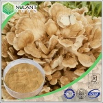 Maitake extract 40% Polysaccharides