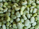 Faba Beans