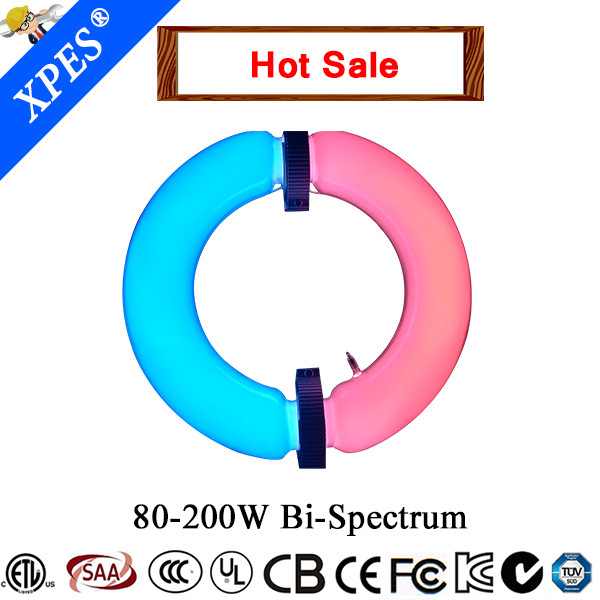 induction plant grow light