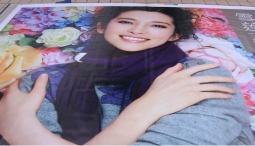PVC Advertising  Wall Flags
