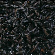 Ethiopian, Natural Niger seeds