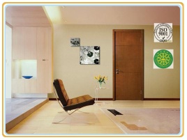 solid single leaf security wooden door
