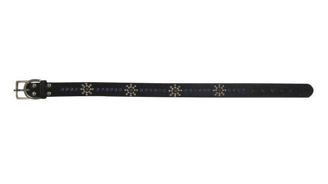 pet collar